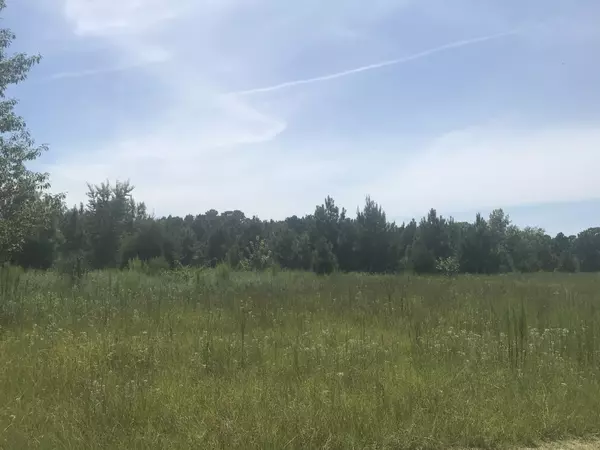 Vass, NC 28394,4658 Lobelia RD