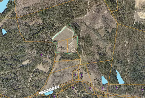 Foxfire, NC 27281,Tbd 20.2ac Jackson Springs RD