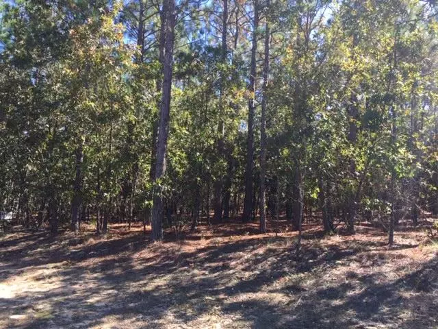 Jackson Springs, NC 27281,8 Oak Hill DR