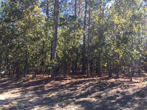 8 Oak Hill DR, Jackson Springs, NC 27281