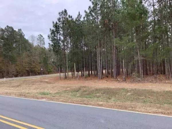 Hamlet, NC 28345,Tbd Hwy 381