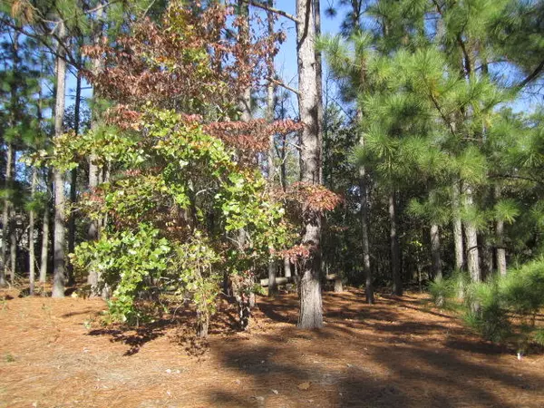 Jackson Springs, NC 27281,23 Eagle DR