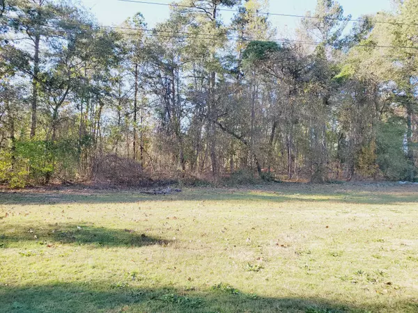 Ellerbe, NC 28338,159 Brookwood LN