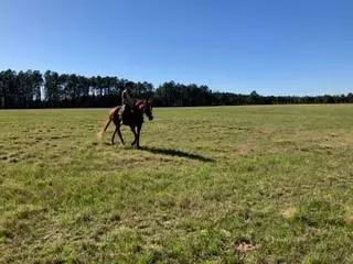 Vass, NC 28394,2015 Youngs RD