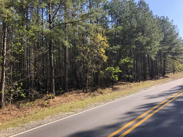 Jackson Springs, NC 27281,Tbd Richmond RD