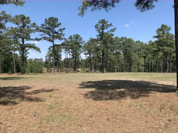 Vass, NC 28394,254 NW Pelham TRL