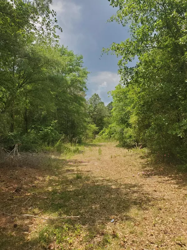 Hamlet, NC 28345,698 Wiregrass Rd