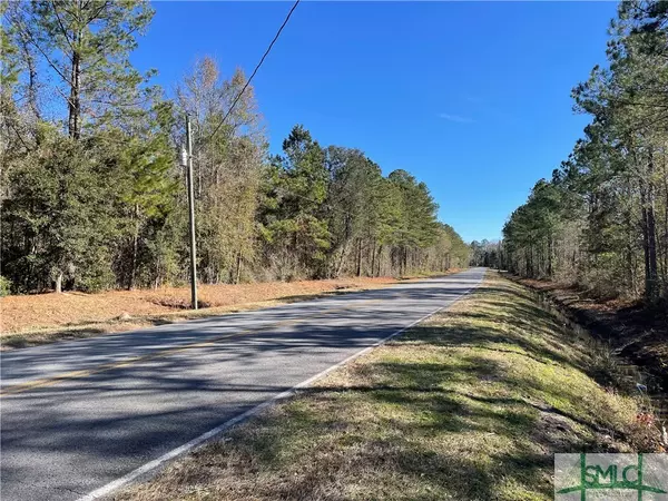 Rincon, GA 31326,08 Little McCall RD