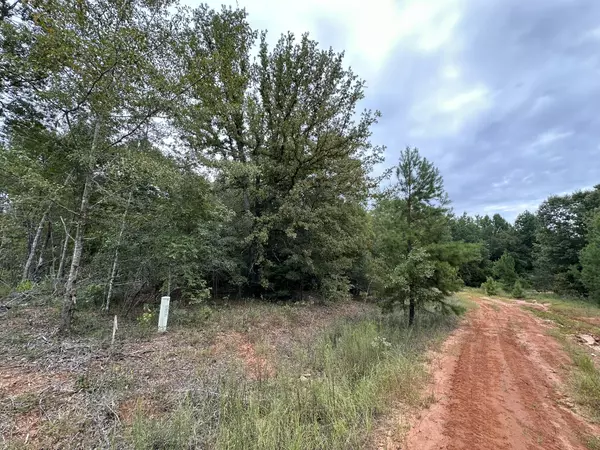 Louisville, GA 30434,0-36 NELSON CT