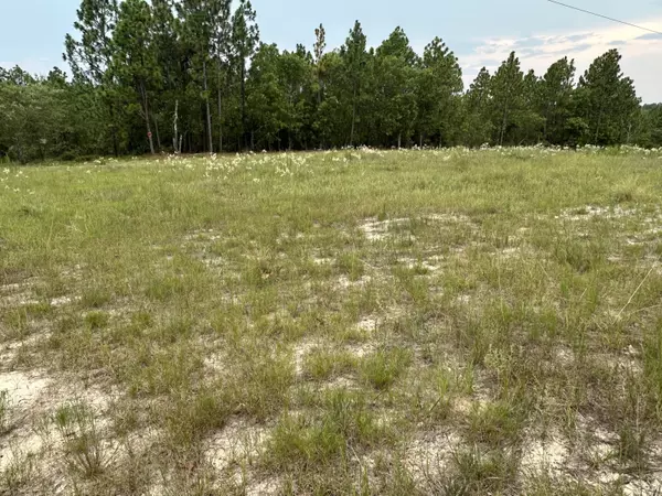 Blythe, GA 30805,2070 Greenland RD