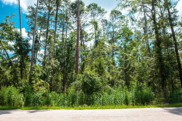 Lot 7 Furey DR, Clarks Hill, SC 29821
