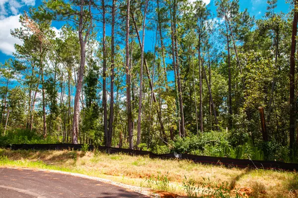 Lot 15 Leyland CT, Clarks Hill, SC 29821