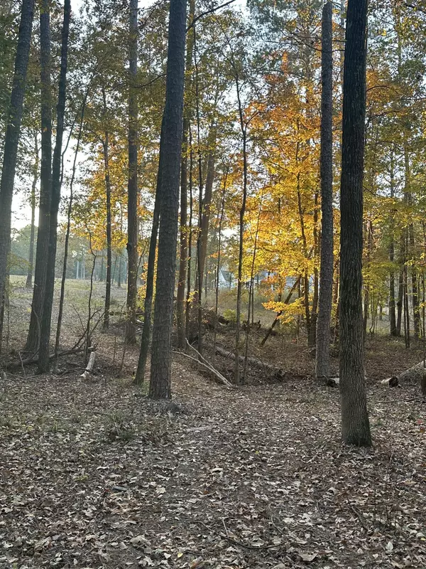 8-3 Long Cove DR, Lincolnton, GA 30817