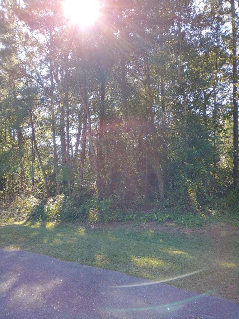 111 Barringer PL, La Grange, NC 28551