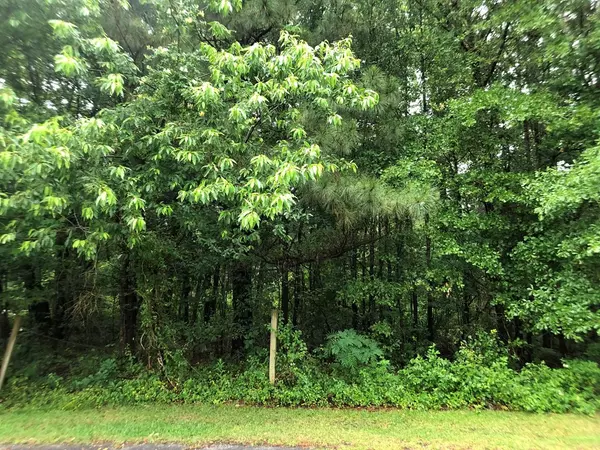 Pikeville, NC 27863,111 Wilderness DR