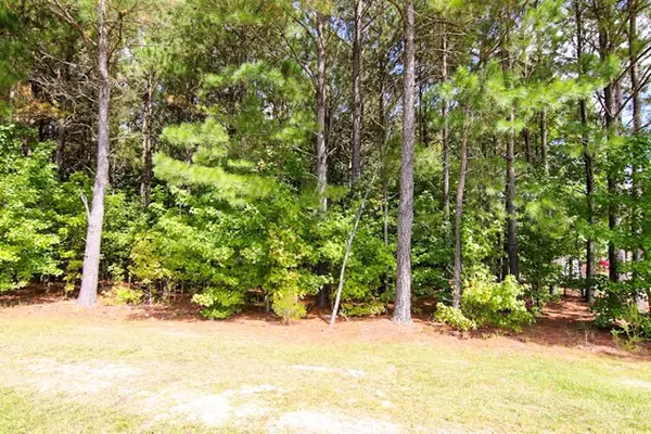 Princeton, NC 27569,57 Water Mint PL