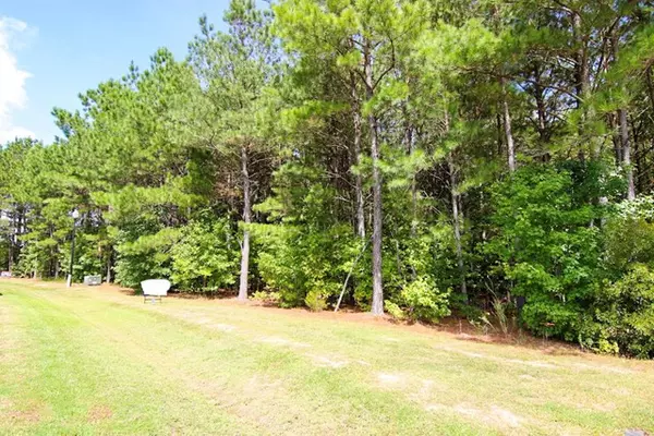 Princeton, NC 27569,57 Water Mint PL