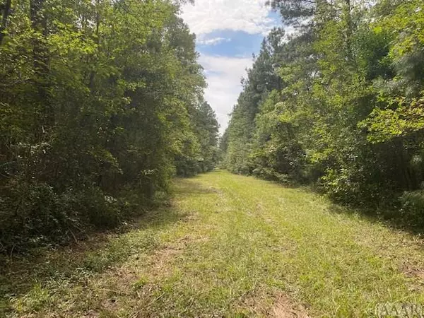 Roper, NC 27970,tbd Woodlawn RD