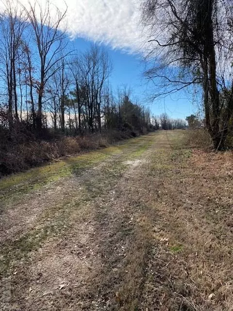 Columbia, NC,Magnolia Cross Road Extension