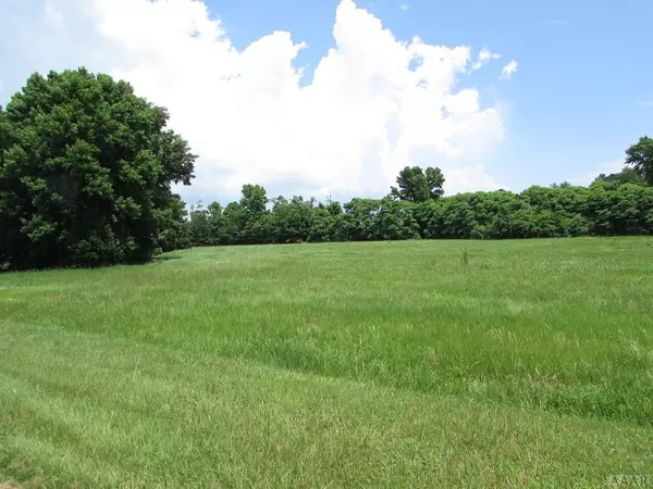 Hertford, NC 27944,136 Common Loon LN