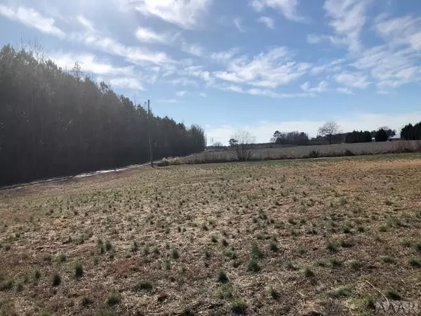 Tyner, NC 27980,1033 C Ryland RD