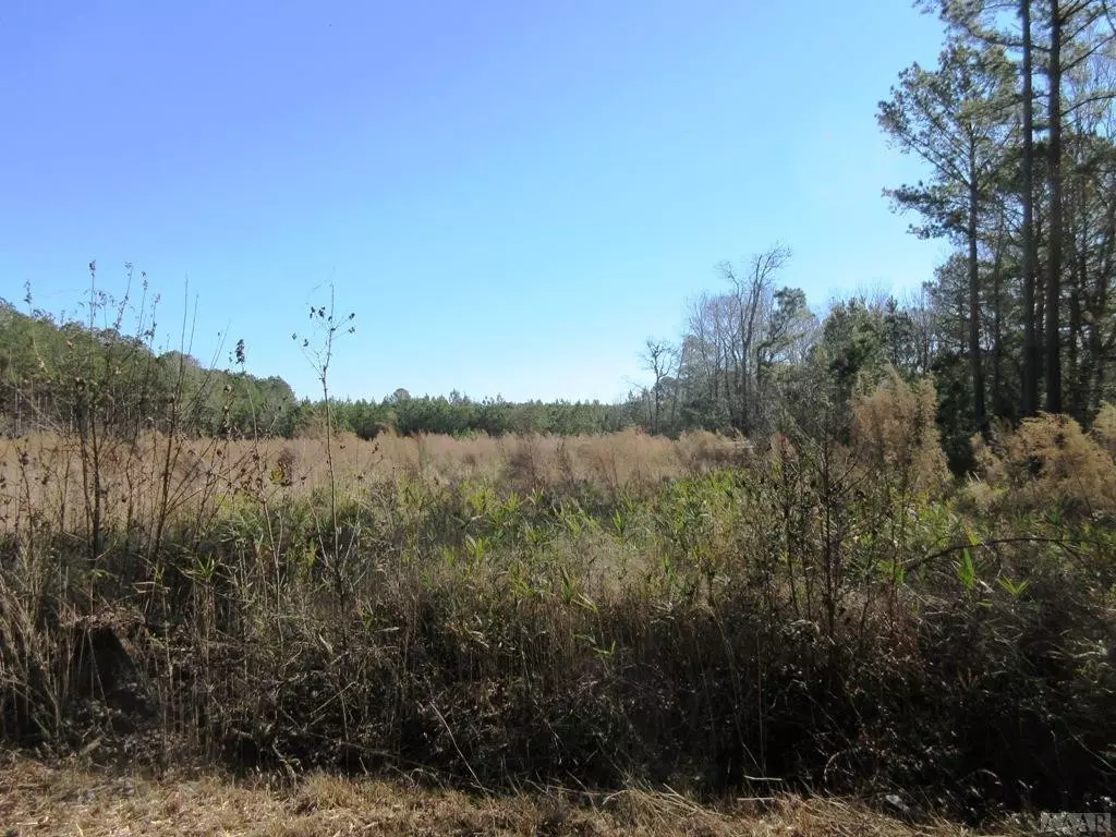 Hobbsville, NC 27946,TBD Zion RD