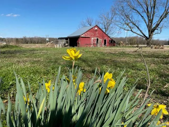 Tyner, NC 27980,Virginia Road