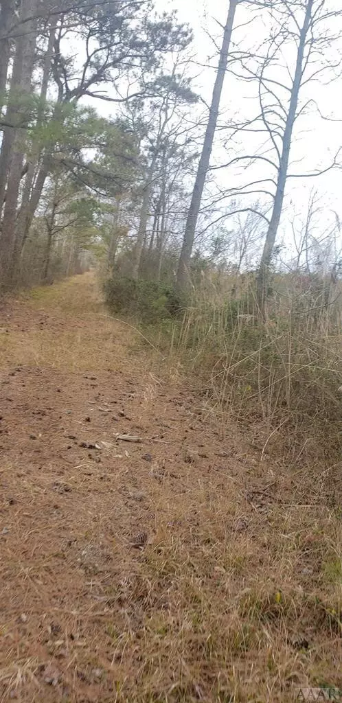 Shiloh, NC 27974,TBD Wilderness RD