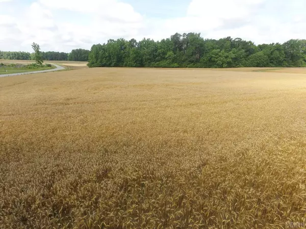 Conway, NC 27820,tbd Grant RD