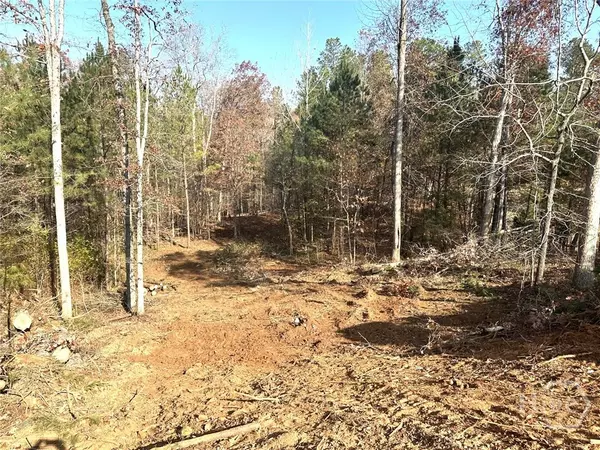 Bishop, GA 30621,1698 Shoal Creek Way