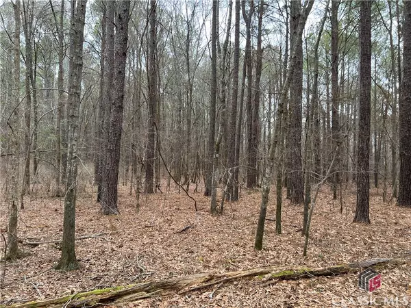 Watkinsville, GA 30677,Lot B Salem RD