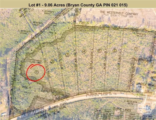 Lot 1 Charles Shuman RD, Pembroke, GA 31321