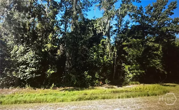 Riceboro, GA 31323,0 S Coastal HWY