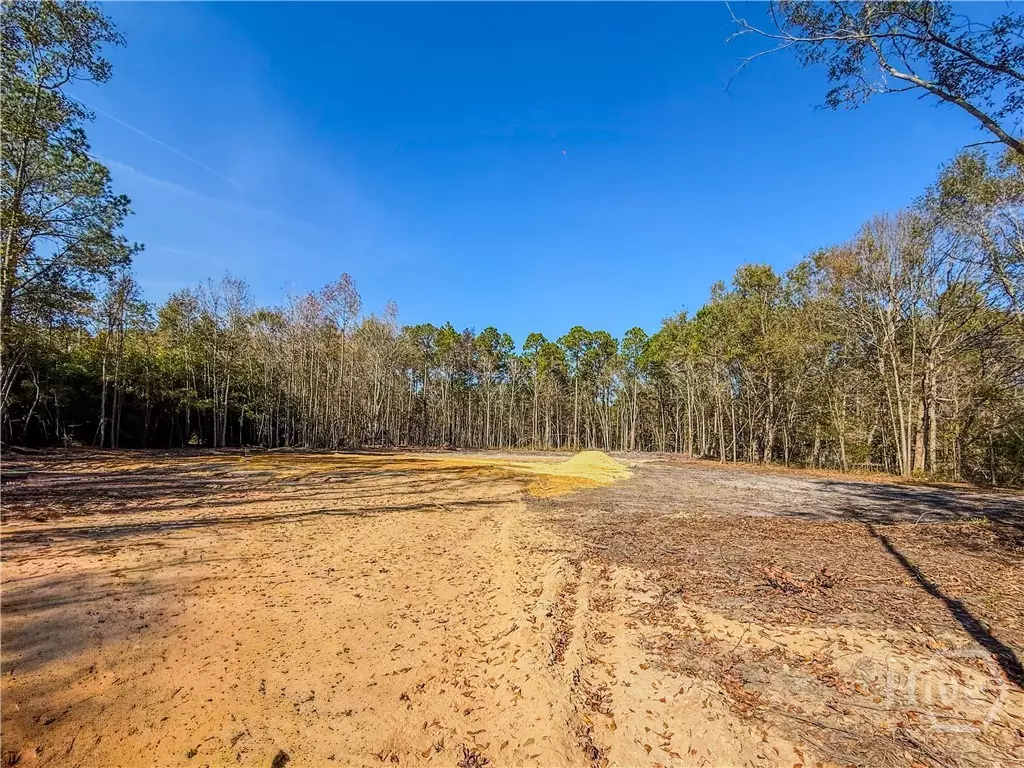 Rincon, GA 31326,433 Exley LOOP