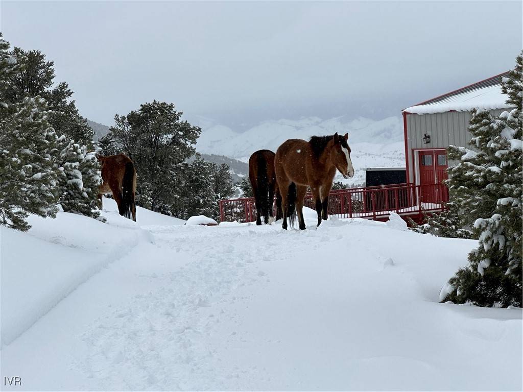 Virginia City, NV 89521,220 Vermillion