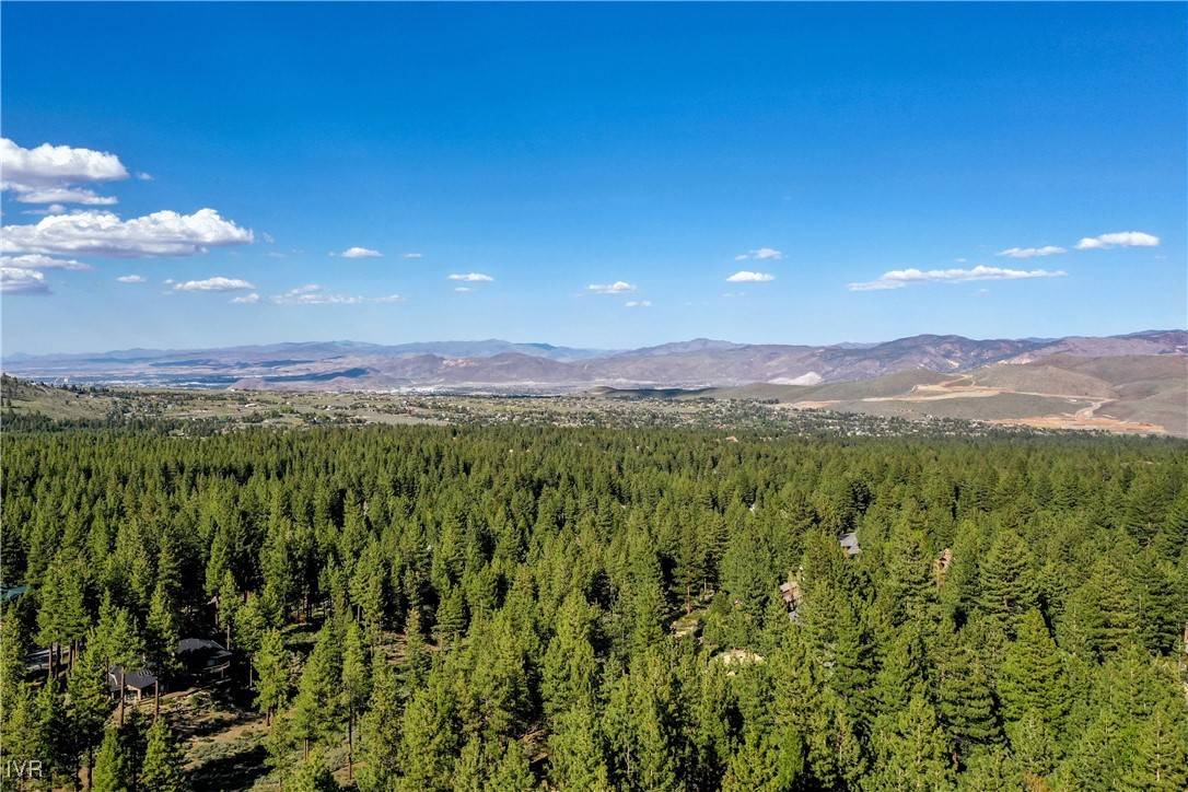 1205 Douglas Fir DR, Reno, NV 89511