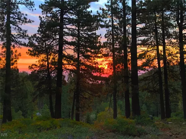 Reno, NV 89511,20600 Old Mt Rose HWY