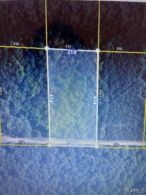 00 43 HWY N, Northport, AL 35475