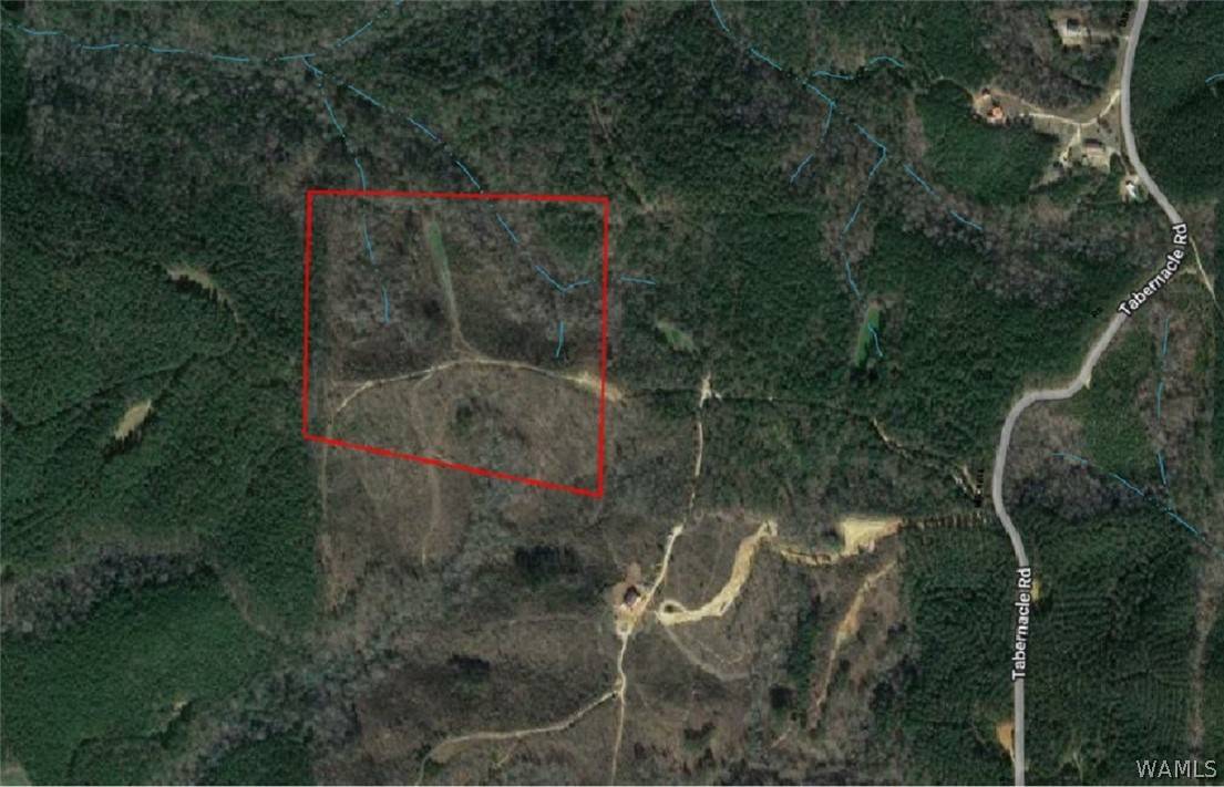 Buhl, AL 35446,0000 Tabernacle RD