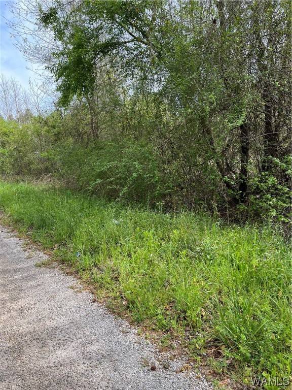 000 Hickory LN,  Moundville,  AL 35474