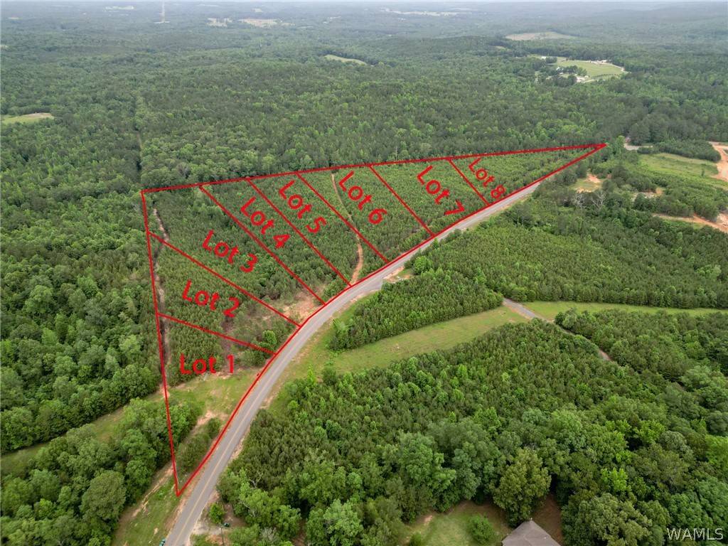 Lot 4 John Swindle Road, Northport, AL 35475