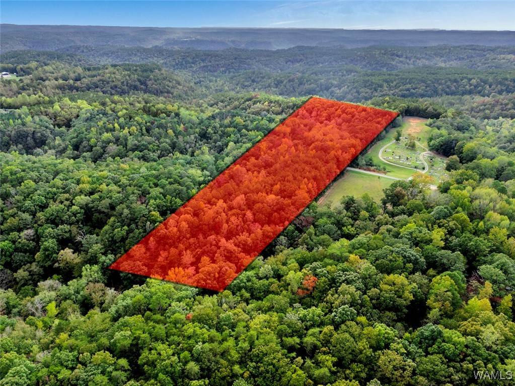 00 Patton Hill Road, Oakman, AL 35579