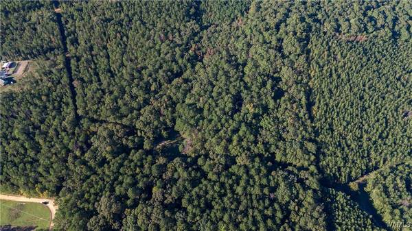 Centreville, AL 35042,1213 Gary Springs LOOP