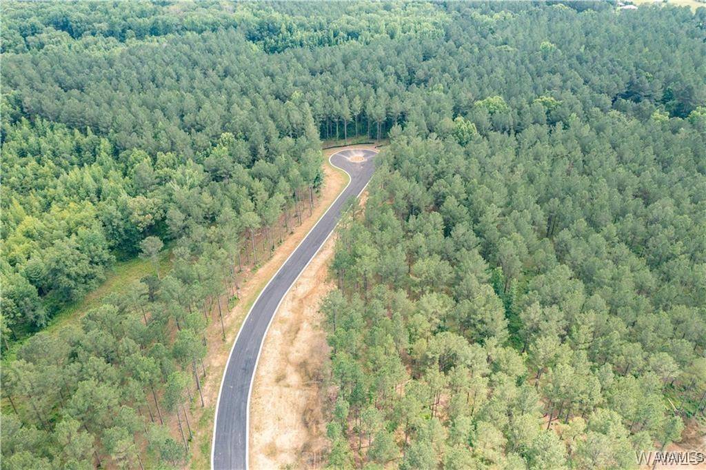 Lot 7 Northside RD, Berry, AL 35546