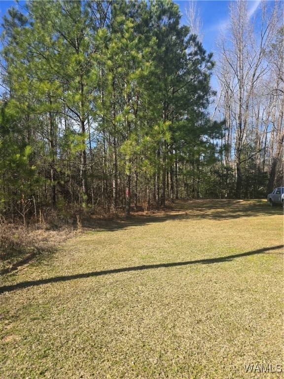 15 TIMBERTOP LN, Foster, AL 35463