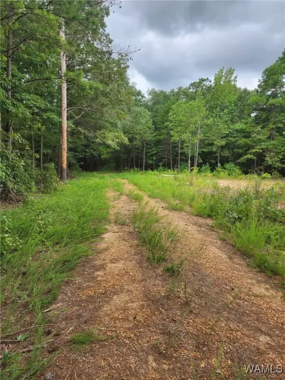 3665 Ward Boyd DR, Duncanville, AL 35456