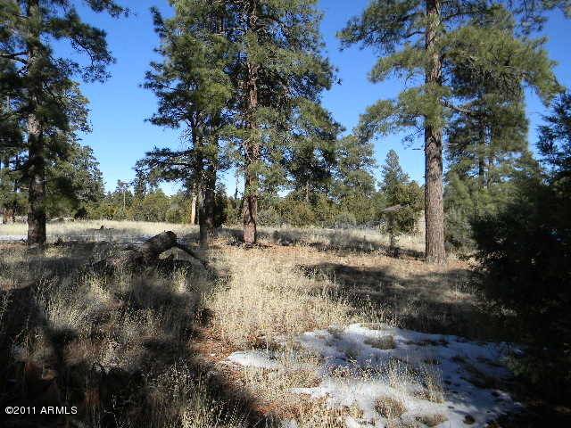 2000 Sunset Trail #61, Overgaard, AZ 85933