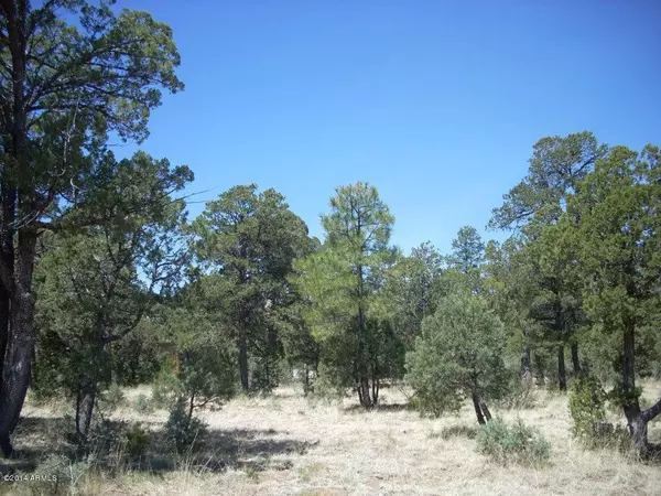 Overgaard, AZ 85933,2862 BUCK CIRCLE -- #397