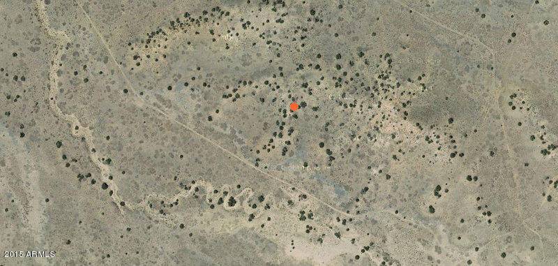 0 W Blue Metal Road #779, Concho, AZ 85924