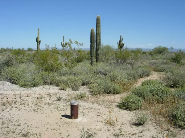 Wittmann, AZ 85361,0 N 255TH Avenue #018N & 018P
